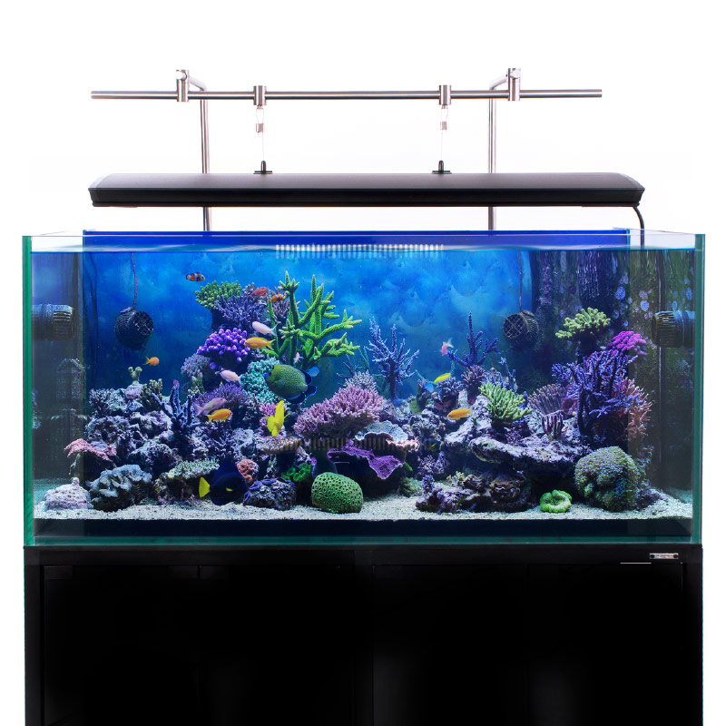 4ft discount aquarium light