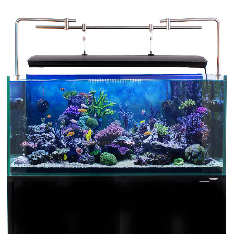 Aquarium on sale lighting uk