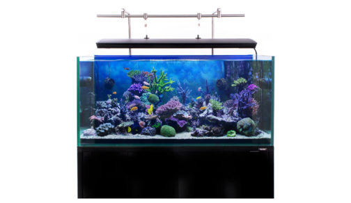 iQuatics – iQuatics are the UK’s leading supplier of innovative marine ...